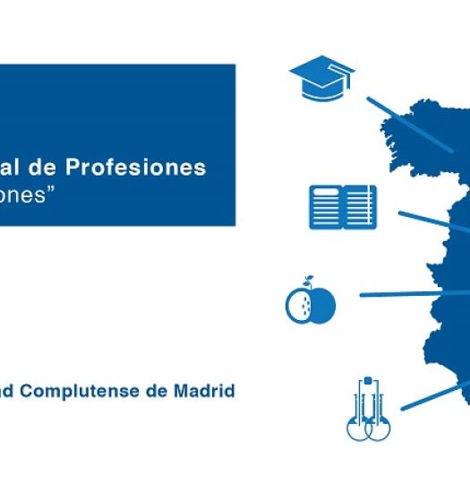 I Congreso Nacional de Profesiones